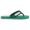 náhled Tommy Hilfiger pánské plážové FM0FM05435 L4F Nouveau Green